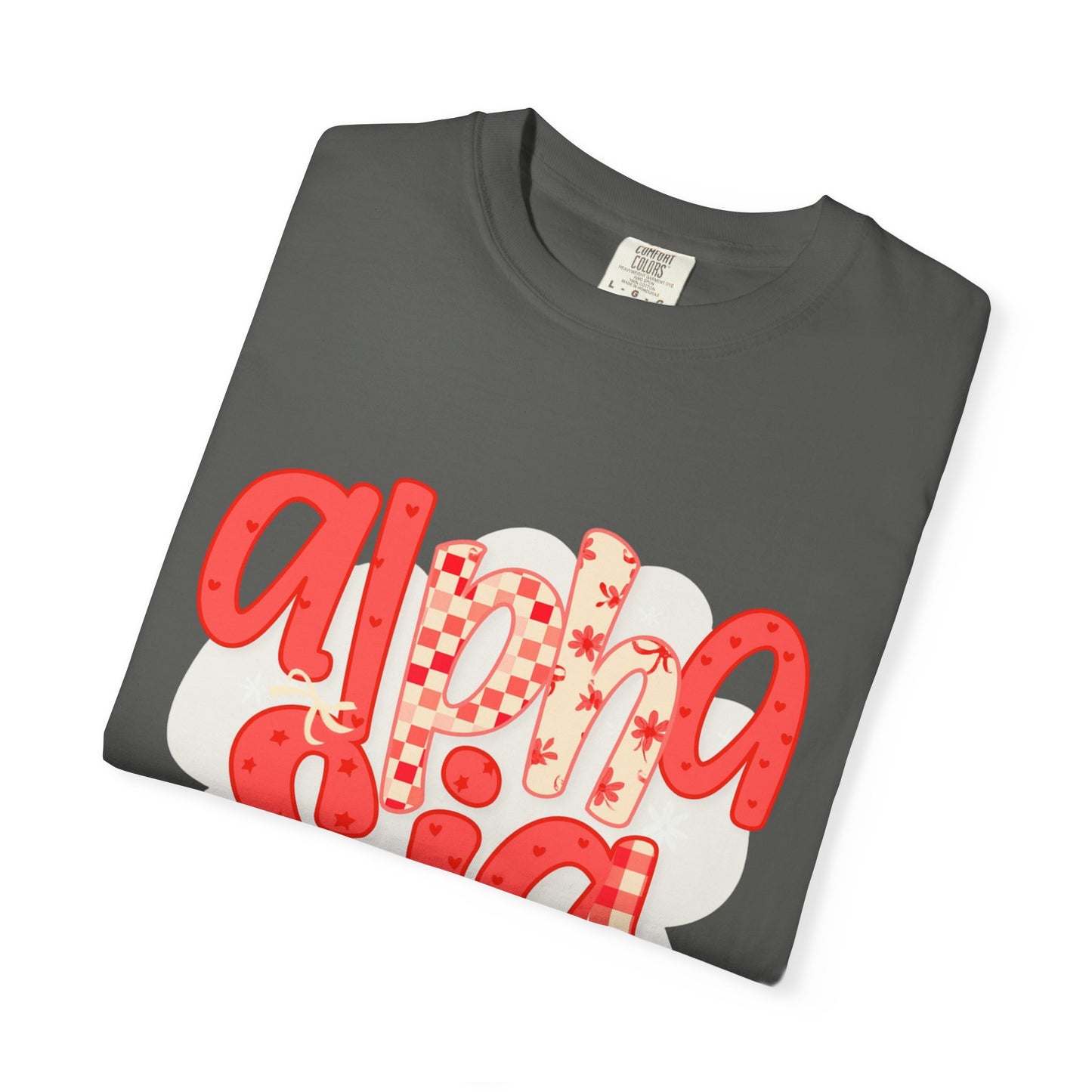 ASig Garment-Dyed T-Shirt