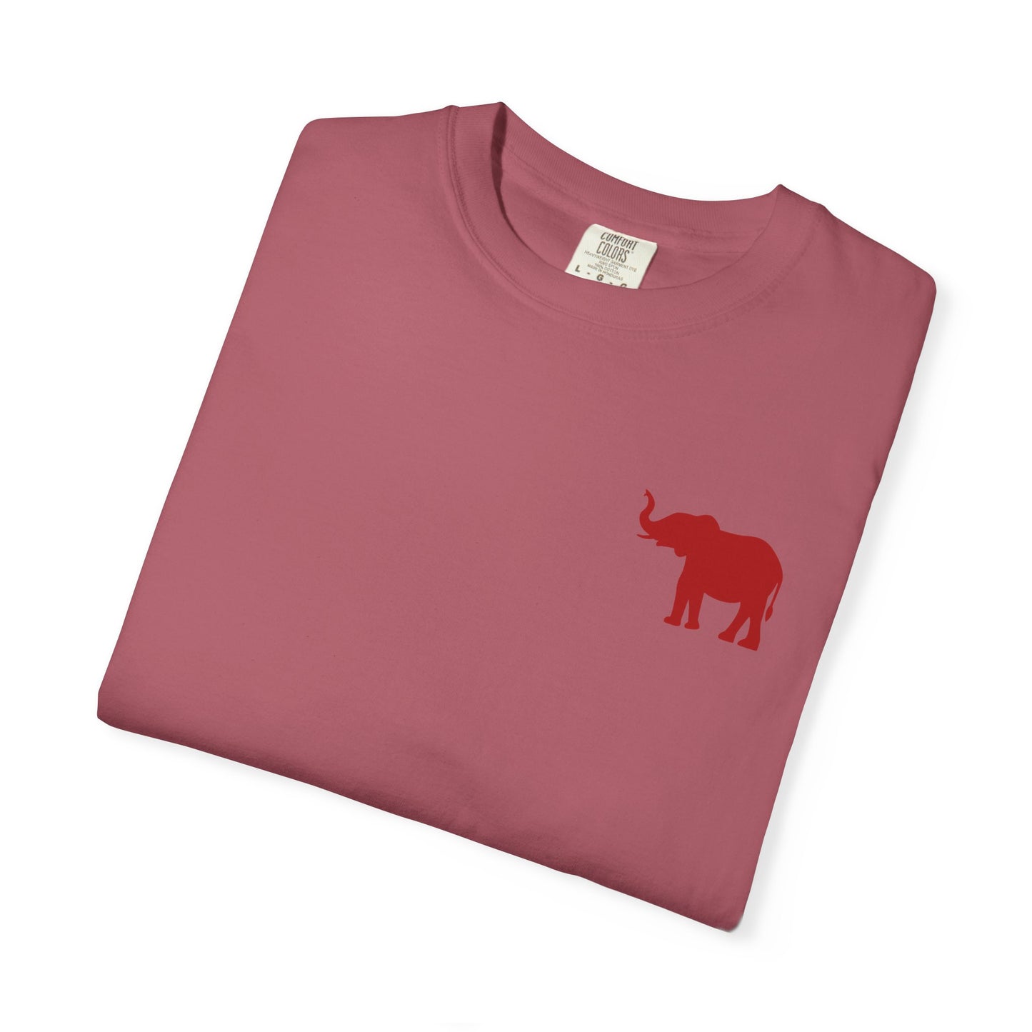 Comfort Colors Quad Alabama Tailgate Squad T-shirt