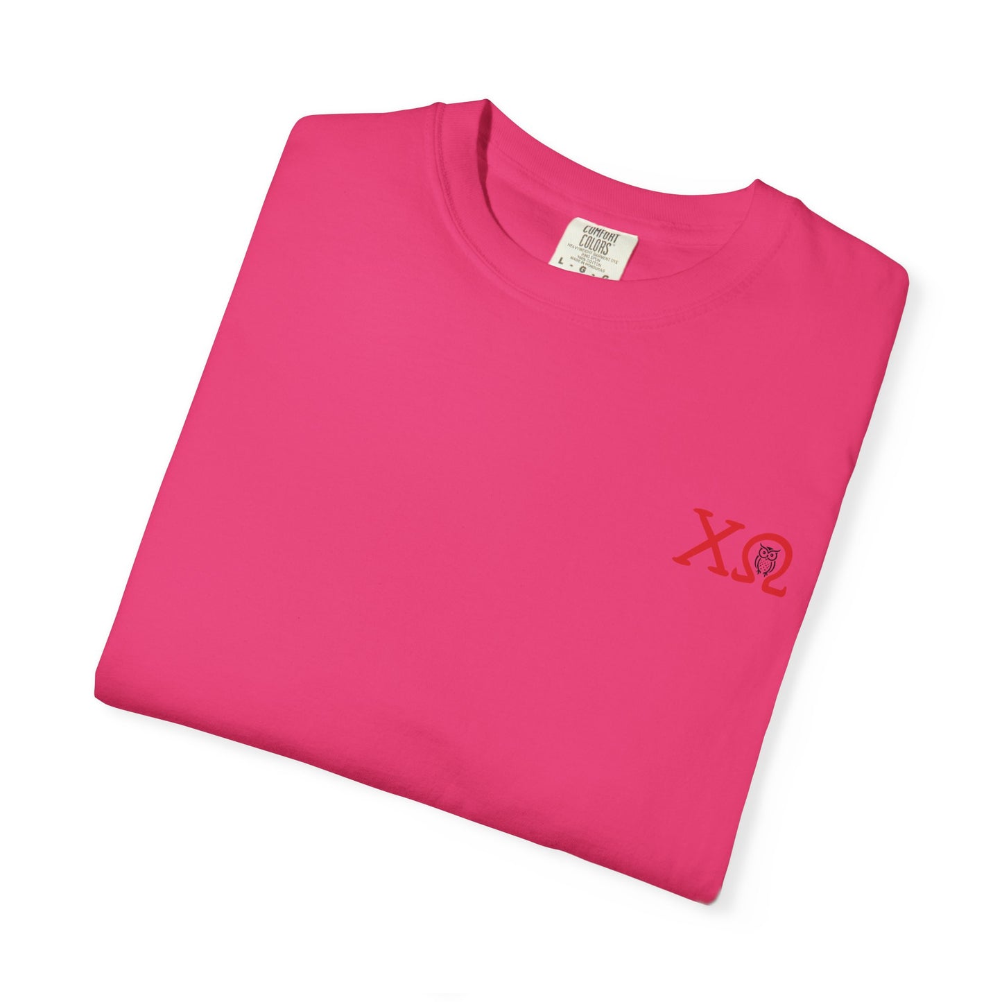 Chi Omega Sister T-Shirt, Sorority Apparel, College Tee, Garment-Dyed Shirt, Greek Life Merchandise, Casual Wear