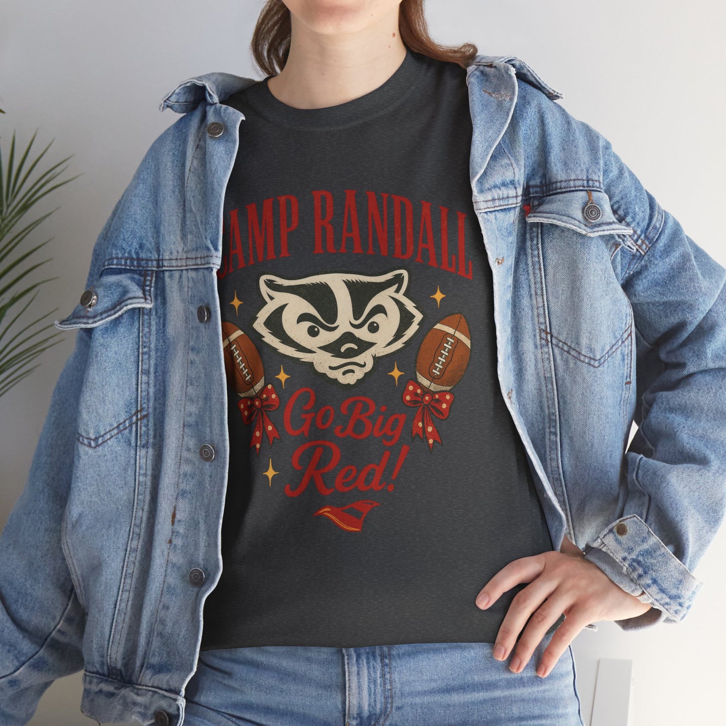 Camp Randall Unisex Tee, Wisconsin Badgers Game Day Shirt