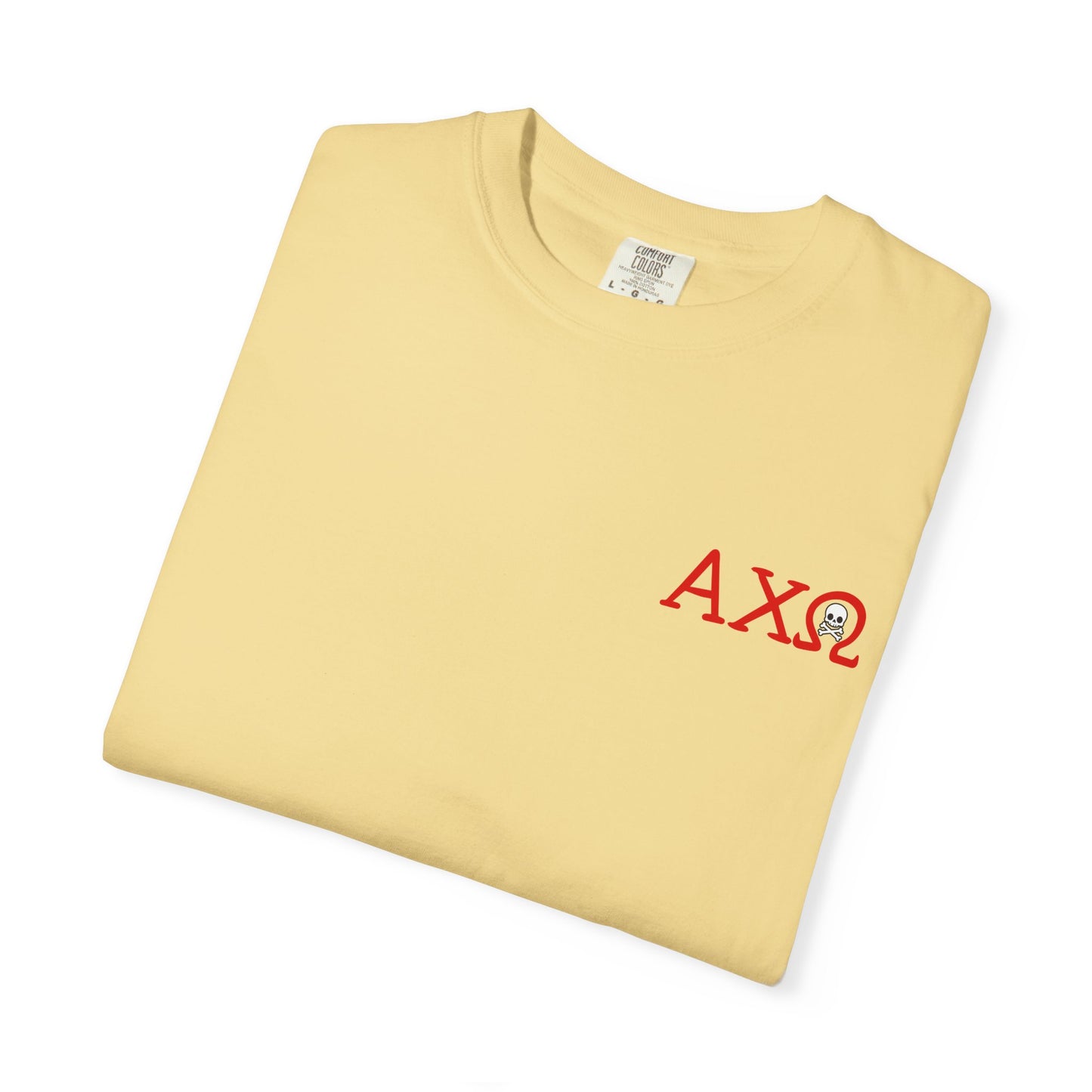 Alpha Chi Omega Garment-Dyed T-shirt, Unisex College Apparel, Sorority Shirt, Graduation Gift, Vintage Style Tee