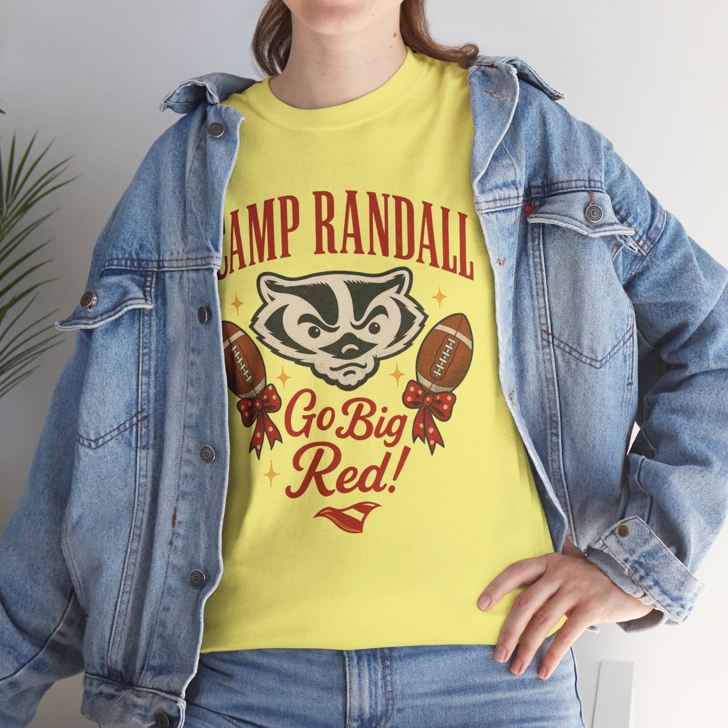 Camp Randall Unisex Tee, Wisconsin Badgers Game Day Shirt