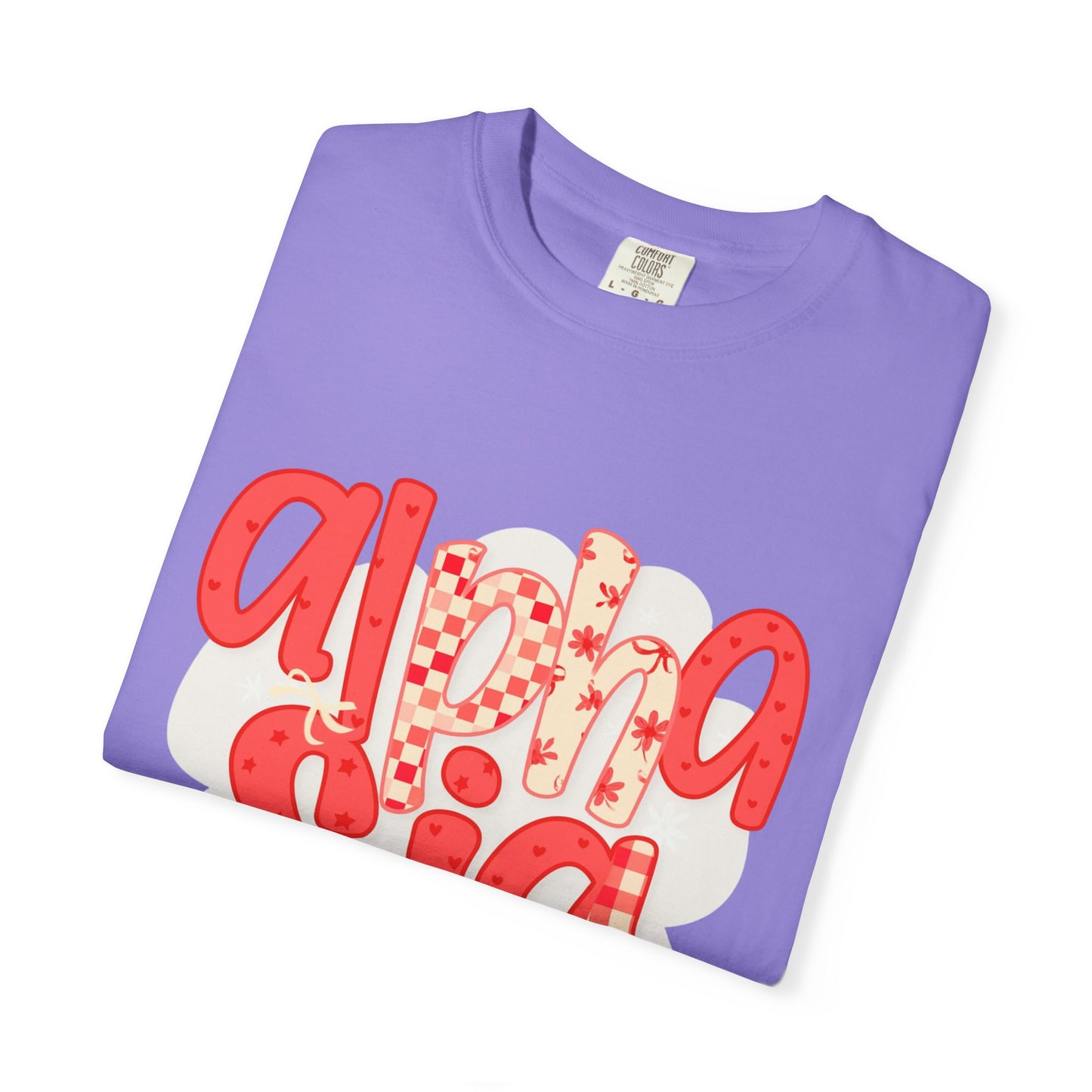 ASig Garment-Dyed T-Shirt