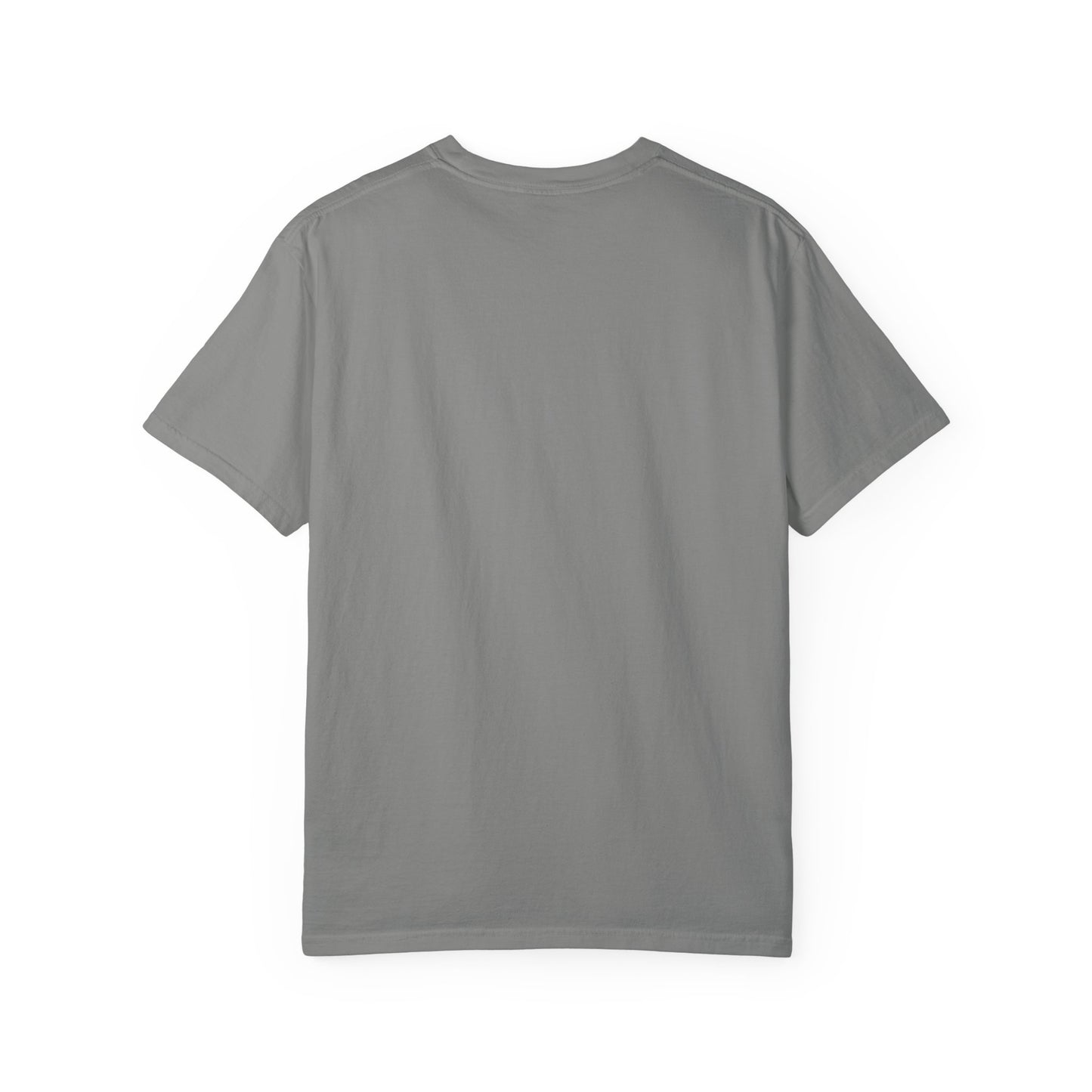 ASig Garment-Dyed T-Shirt