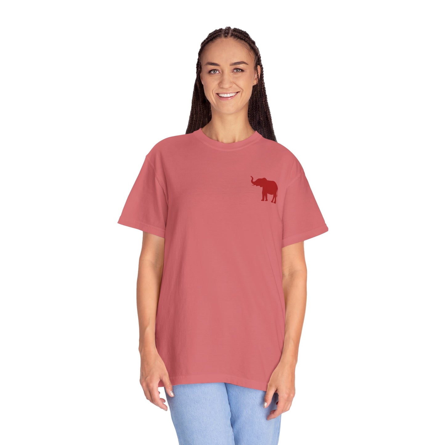Comfort Colors Quad Alabama Tailgate Squad T-shirt