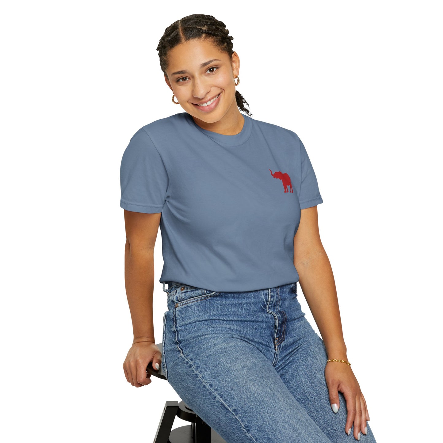 Comfort Colors Quad Alabama Tailgate Squad T-shirt