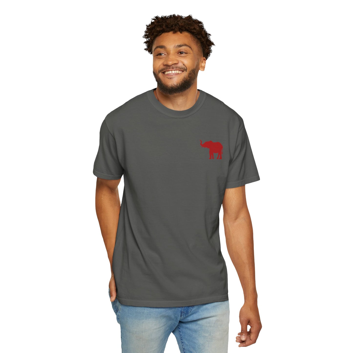 Comfort Colors Quad Alabama Tailgate Squad T-shirt