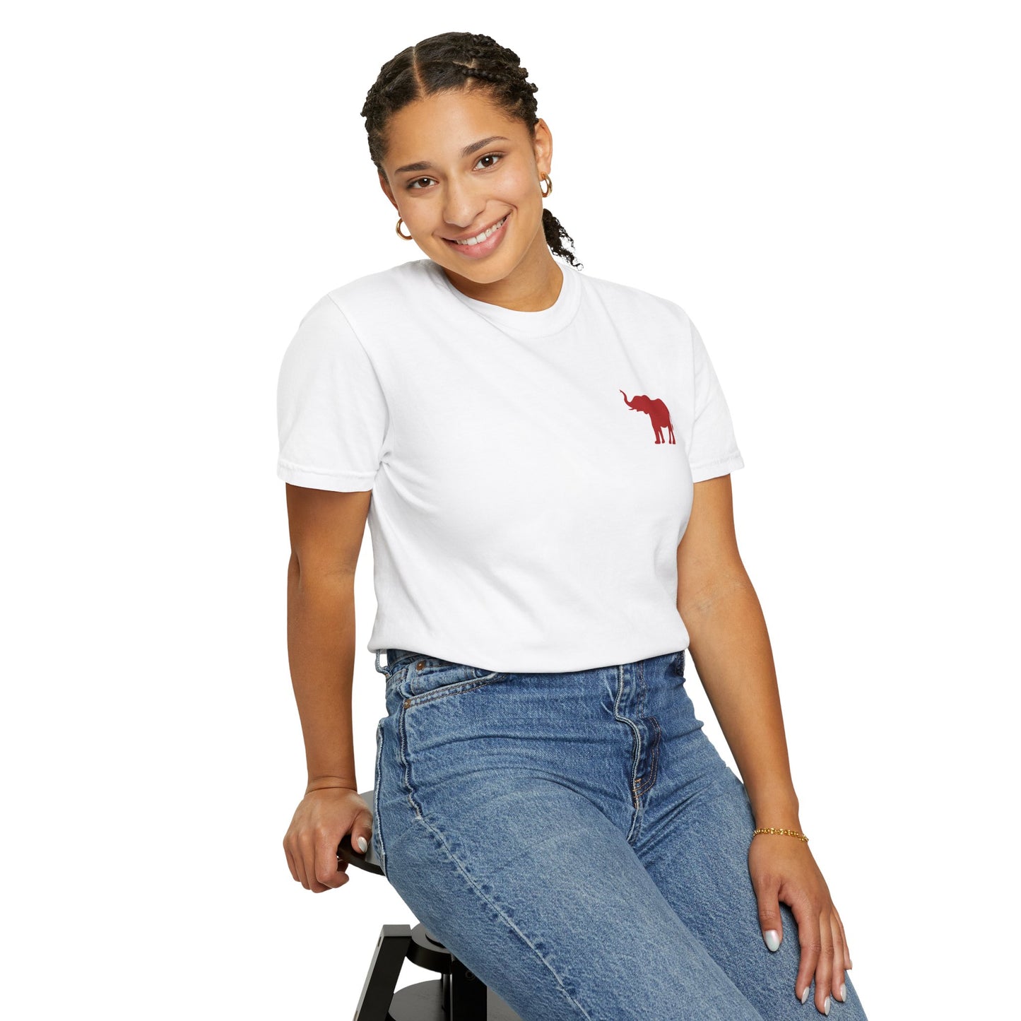 Comfort Colors Quad Alabama Tailgate Squad T-shirt