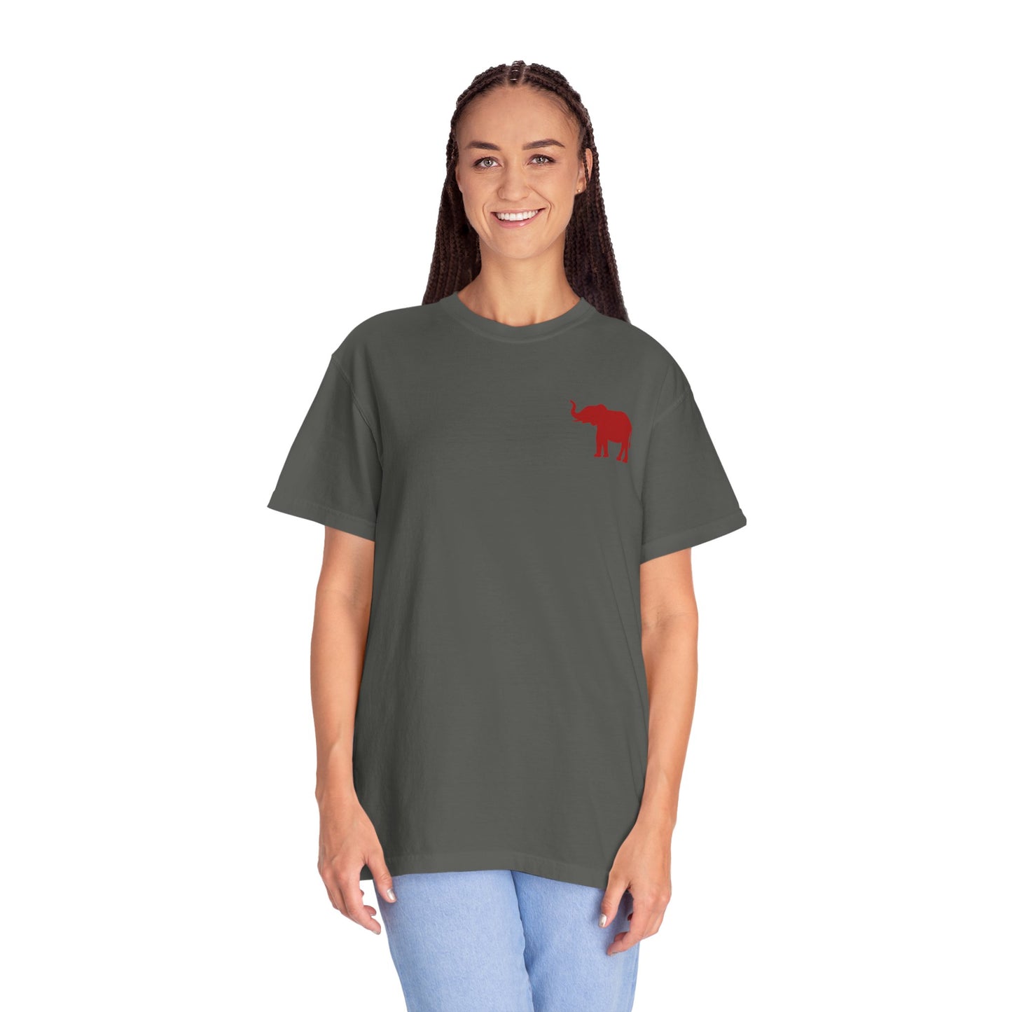 Comfort Colors Quad Alabama Tailgate Squad T-shirt
