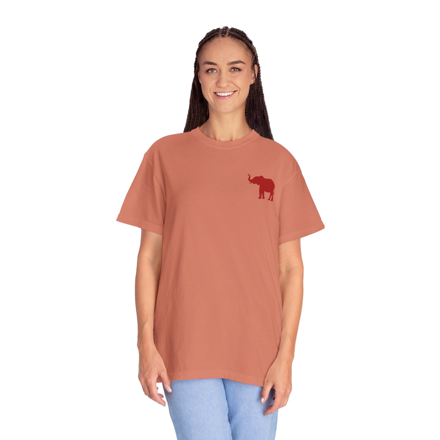 Comfort Colors Quad Alabama Tailgate Squad T-shirt