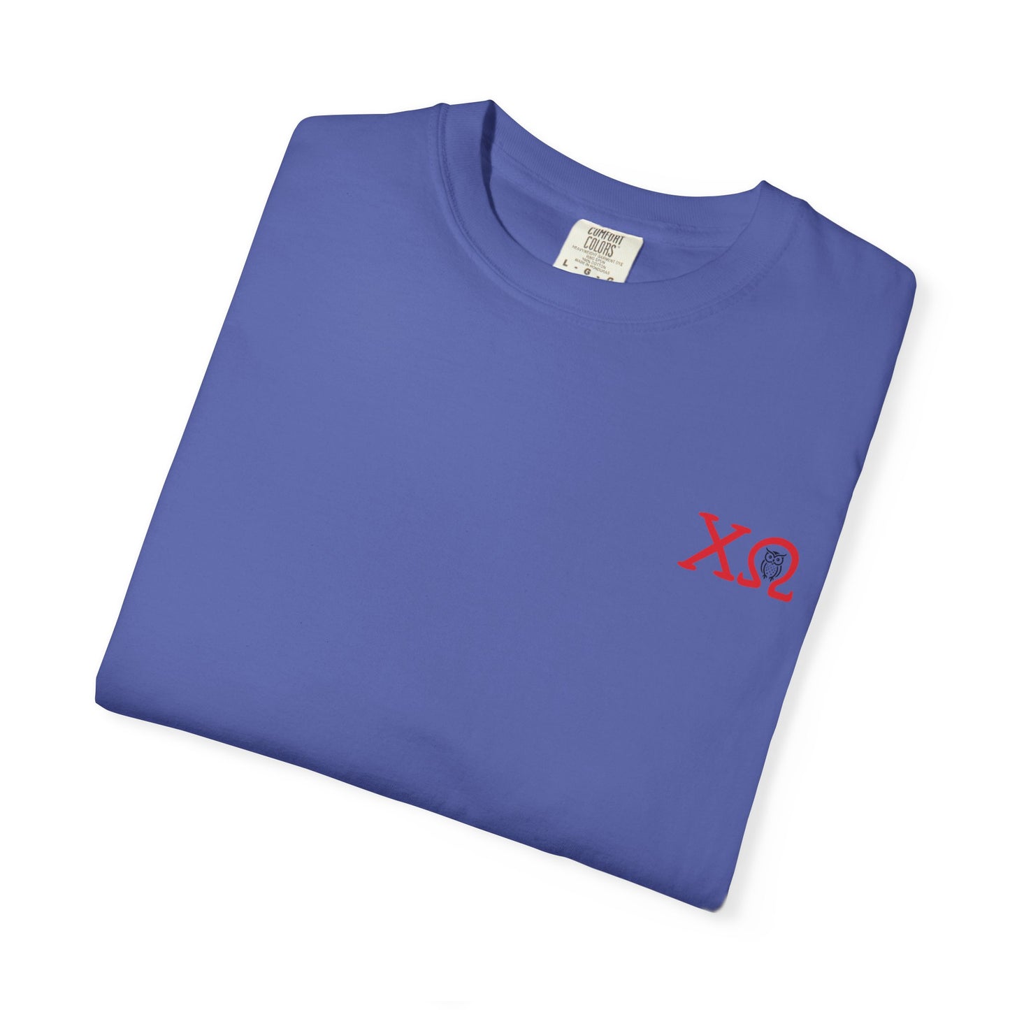 Chi Omega Sister T-Shirt, Sorority Apparel, College Tee, Garment-Dyed Shirt, Greek Life Merchandise, Casual Wear
