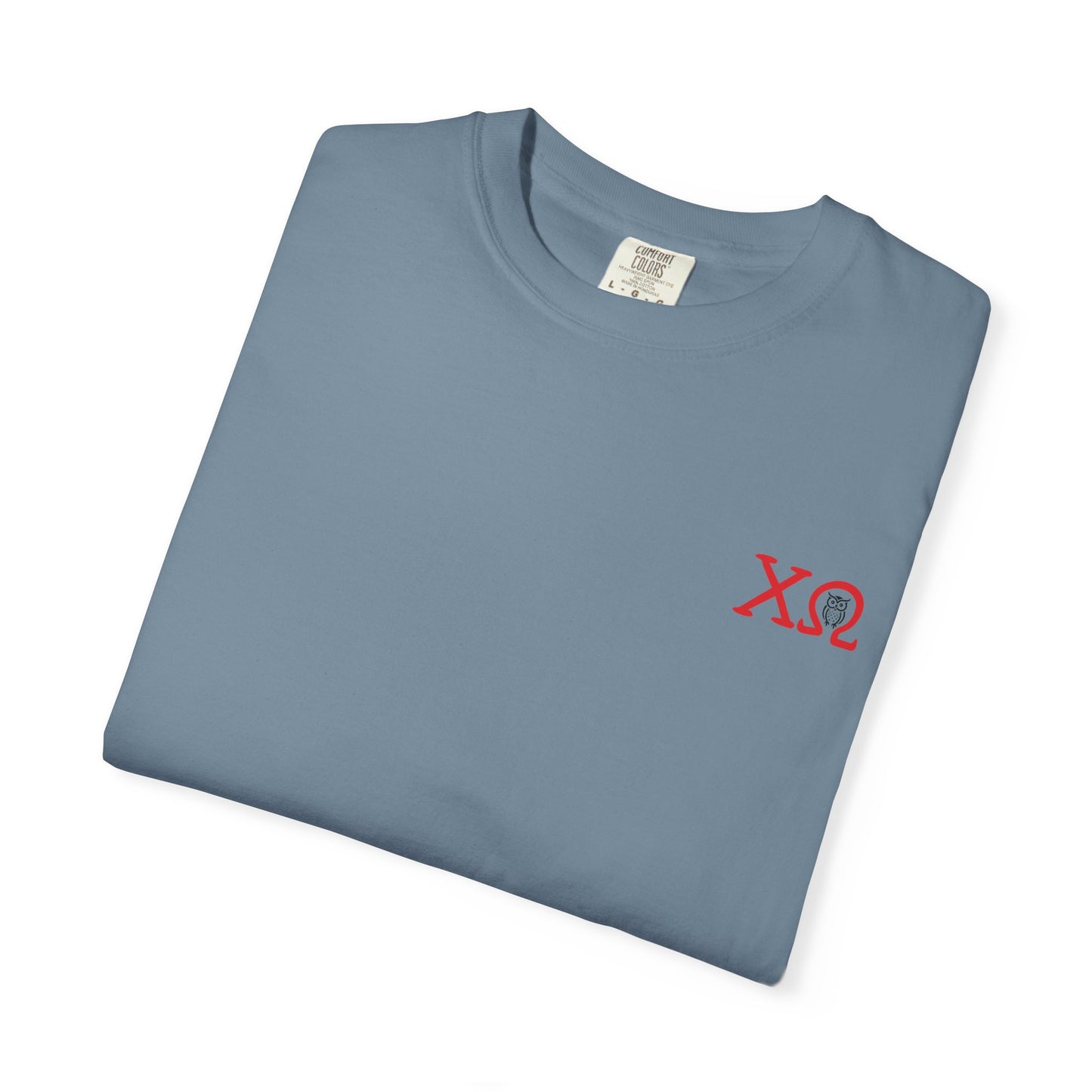 Chi Omega Sister T-Shirt, Sorority Apparel, College Tee, Garment-Dyed Shirt, Greek Life Merchandise, Casual Wear