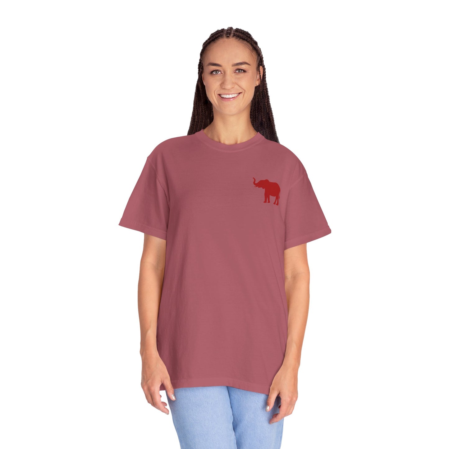Comfort Colors Quad Alabama Tailgate Squad T-shirt