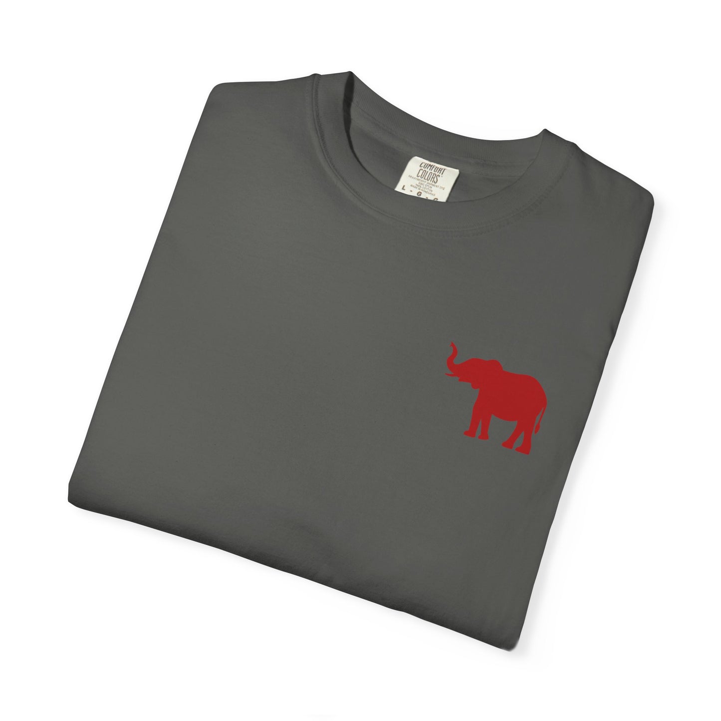 Comfort Colors Quad Alabama Tailgate Squad T-shirt