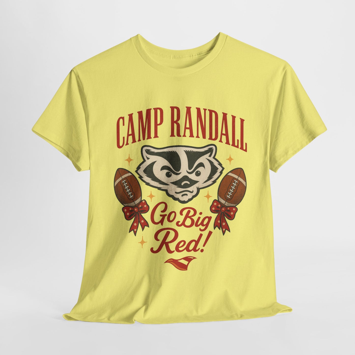 Camp Randall Unisex Tee, Wisconsin Badgers Game Day Shirt