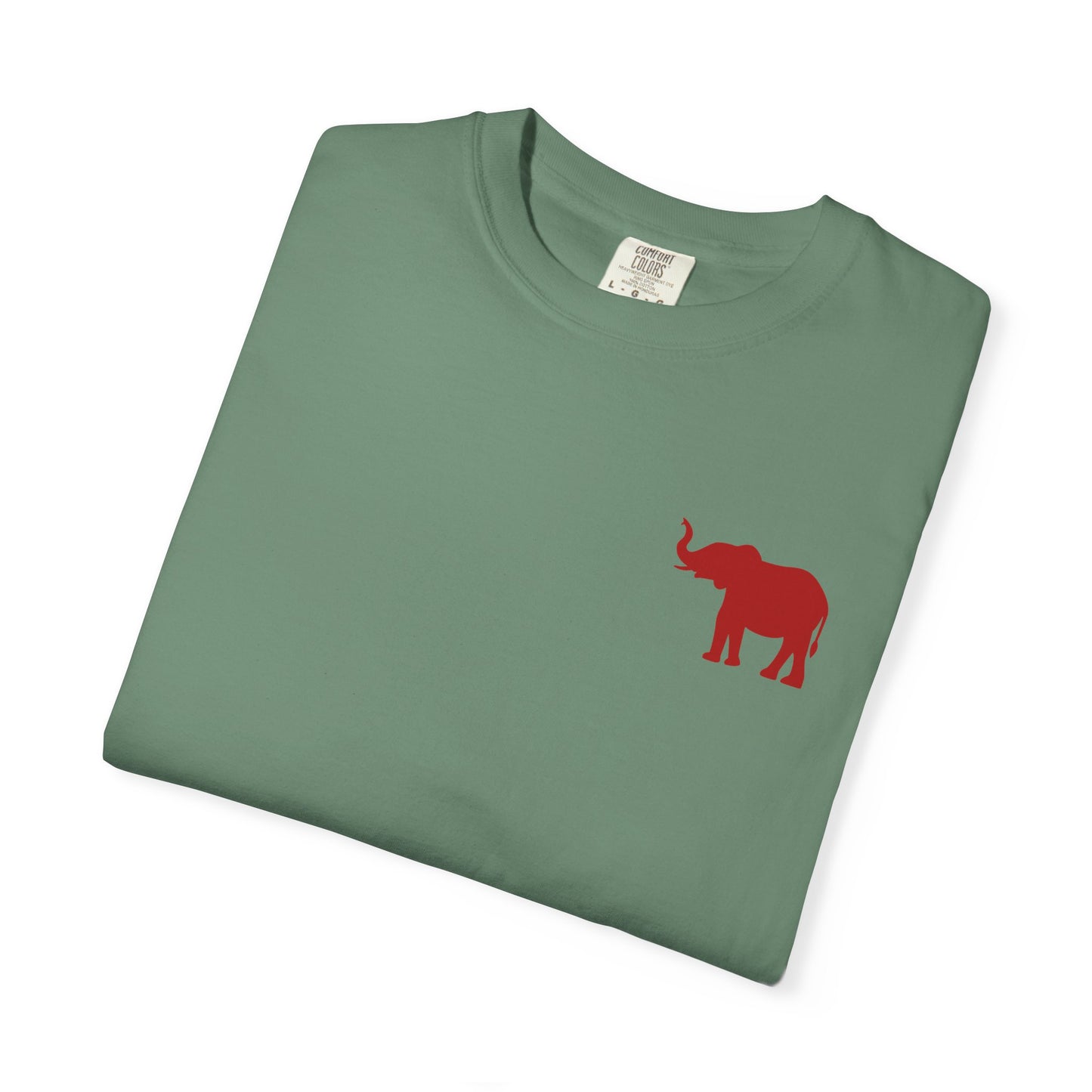 Comfort Colors Quad Alabama Tailgate Squad T-shirt