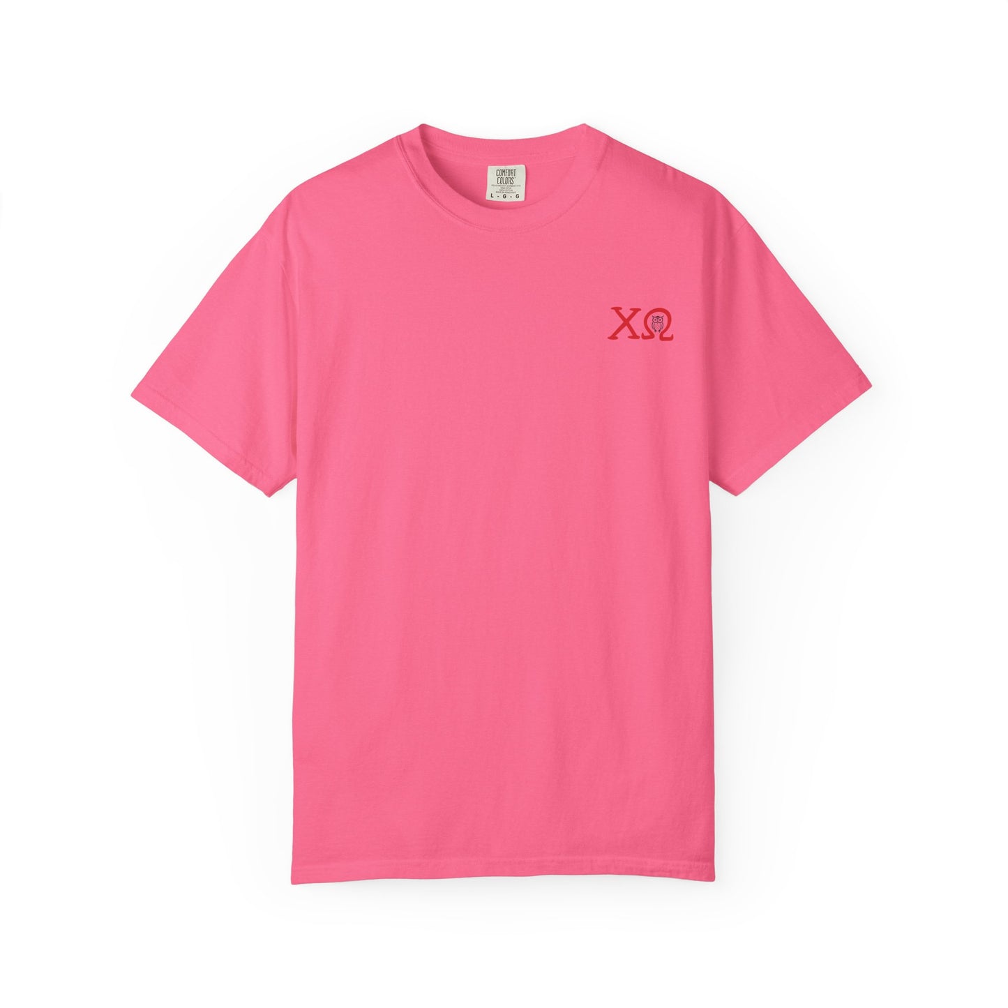 Chi Omega Sister T-Shirt, Sorority Apparel, College Tee, Garment-Dyed Shirt, Greek Life Merchandise, Casual Wear