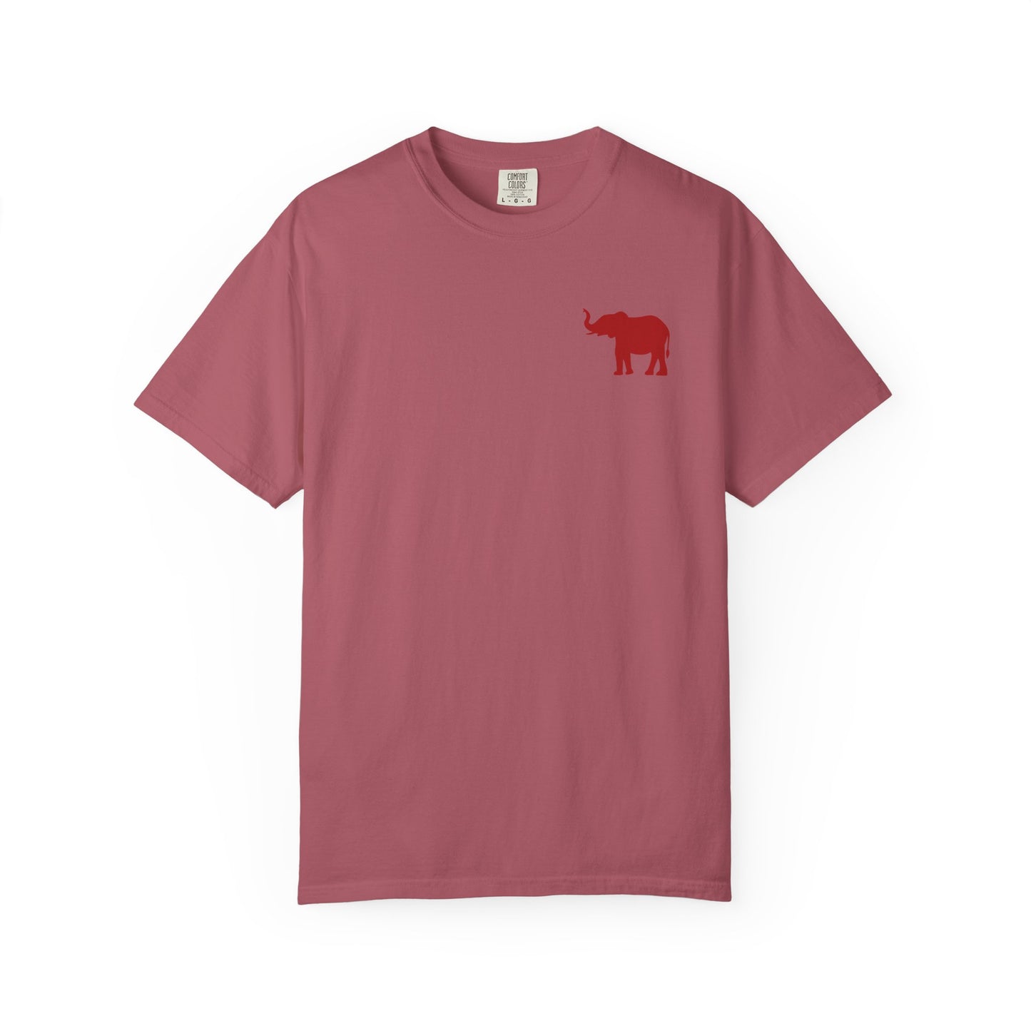 Comfort Colors Quad Alabama Tailgate Squad T-shirt