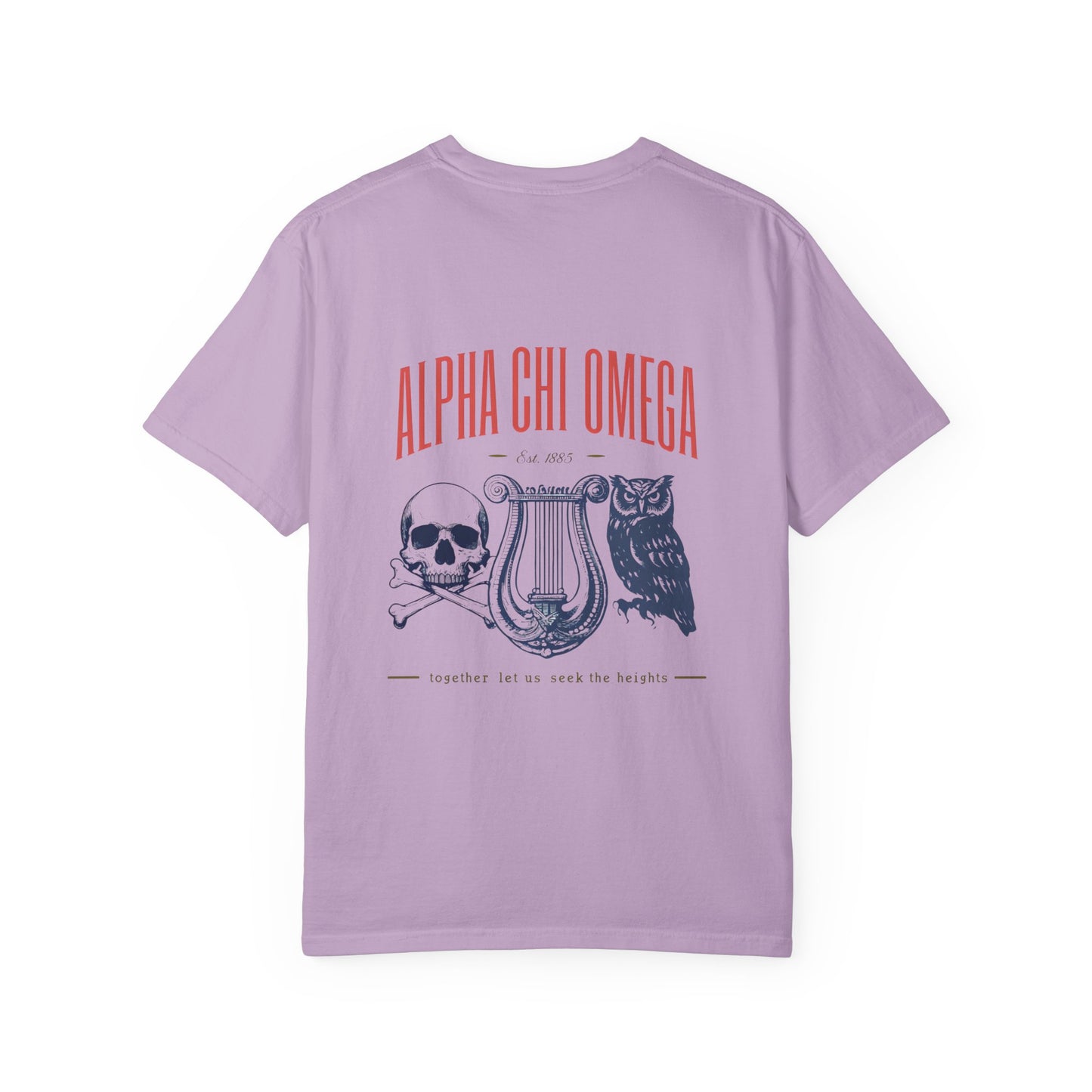 Alpha Chi Omega Garment-Dyed T-shirt, Unisex College Apparel, Sorority Shirt, Graduation Gift, Vintage Style Tee