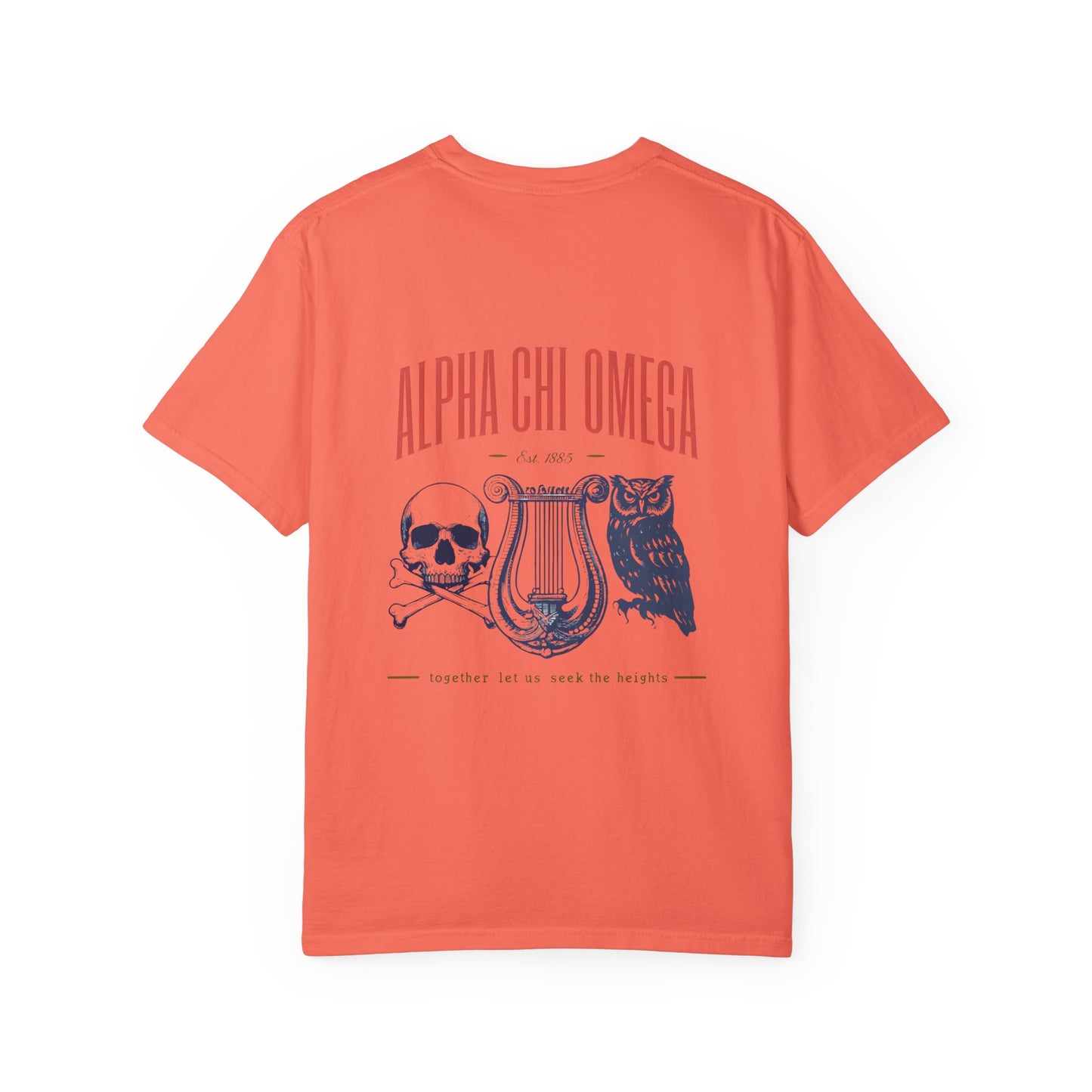 Alpha Chi Omega Garment-Dyed T-shirt, Unisex College Apparel, Sorority Shirt, Graduation Gift, Vintage Style Tee