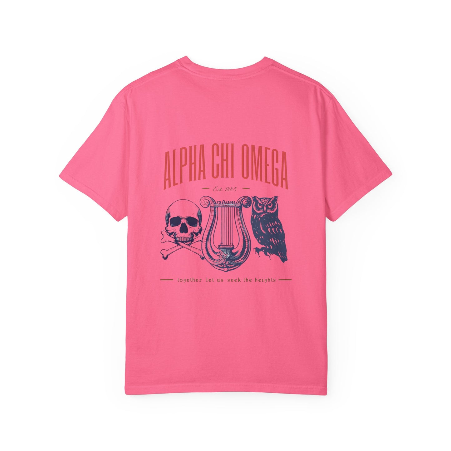 Alpha Chi Omega Garment-Dyed T-shirt, Unisex College Apparel, Sorority Shirt, Graduation Gift, Vintage Style Tee