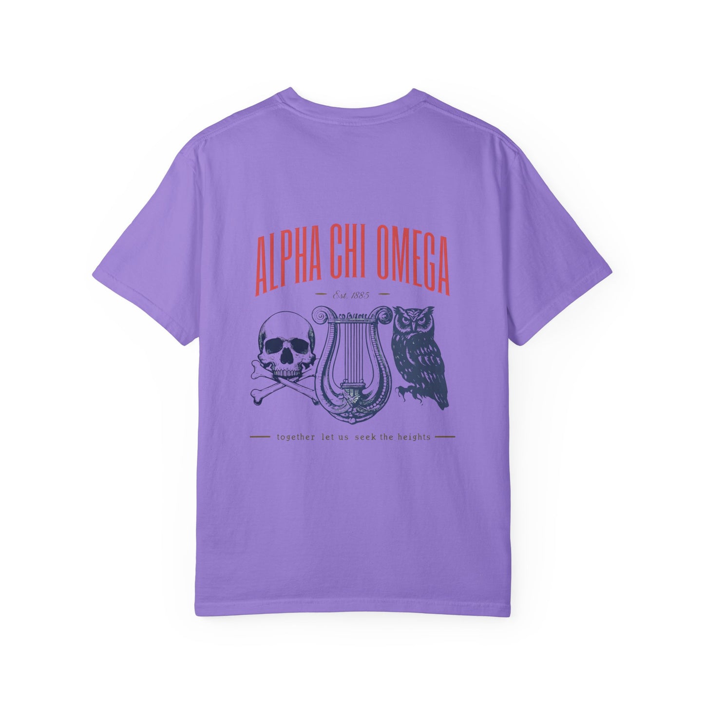 Alpha Chi Omega Garment-Dyed T-shirt, Unisex College Apparel, Sorority Shirt, Graduation Gift, Vintage Style Tee