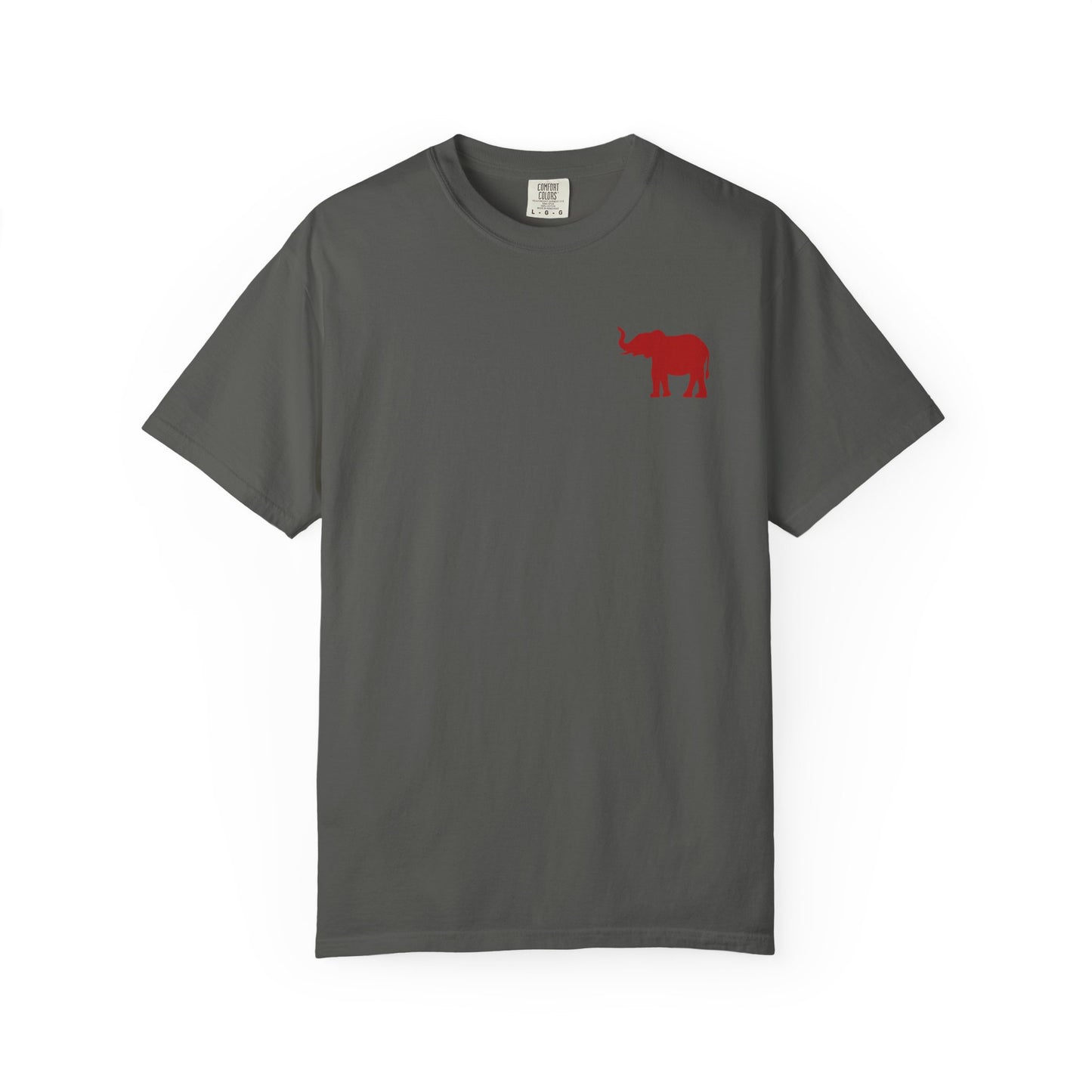 Comfort Colors Quad Alabama Tailgate Squad T-shirt