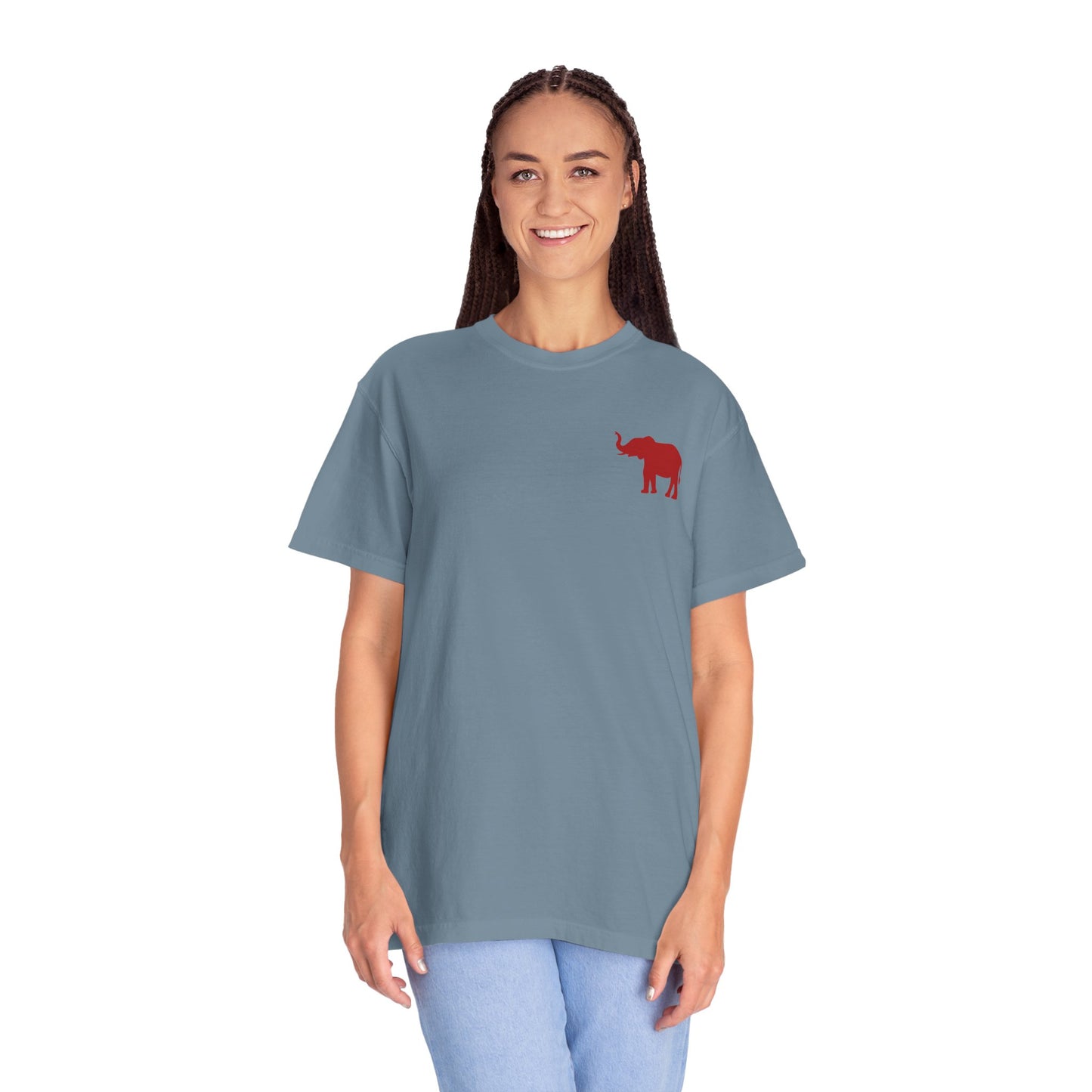 Comfort Colors Quad Alabama Tailgate Squad T-shirt