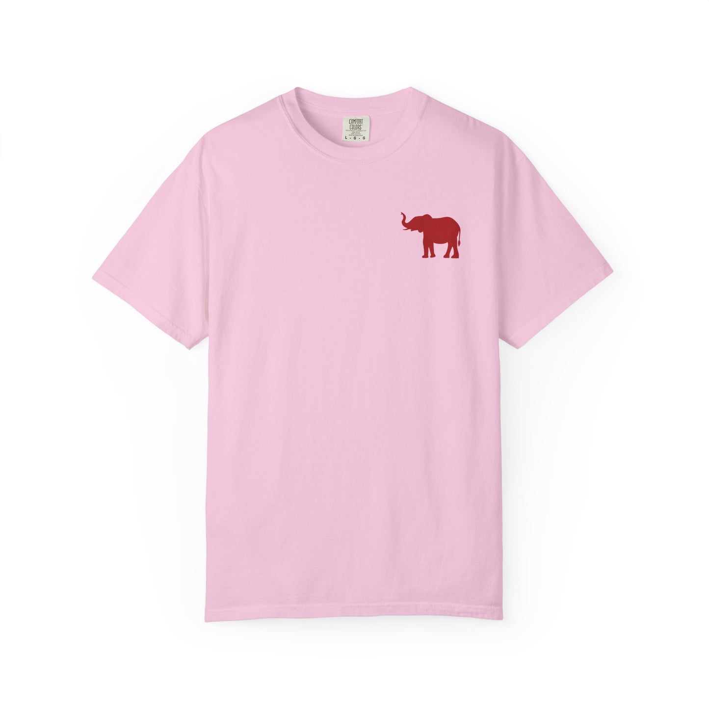 Comfort Colors Quad Alabama Tailgate Squad T-shirt