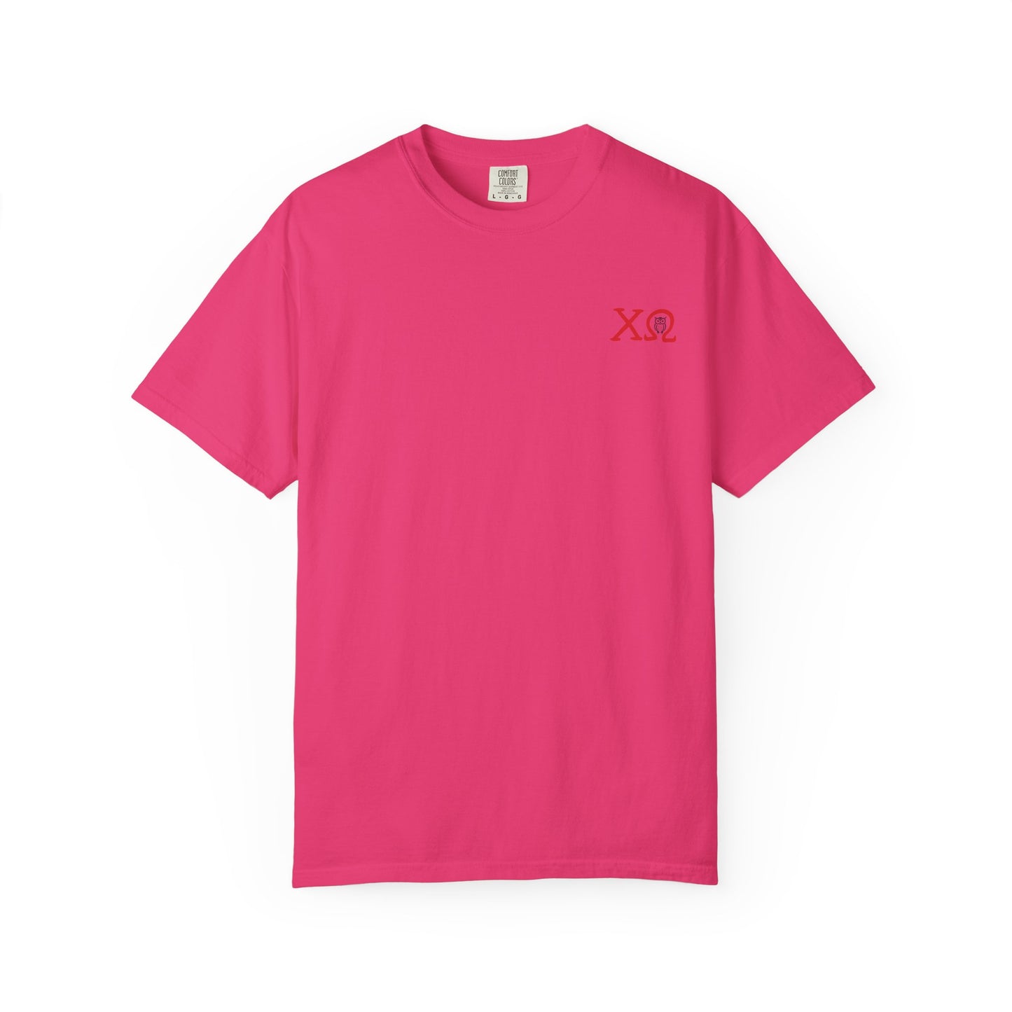 Chi Omega Sister T-Shirt, Sorority Apparel, College Tee, Garment-Dyed Shirt, Greek Life Merchandise, Casual Wear