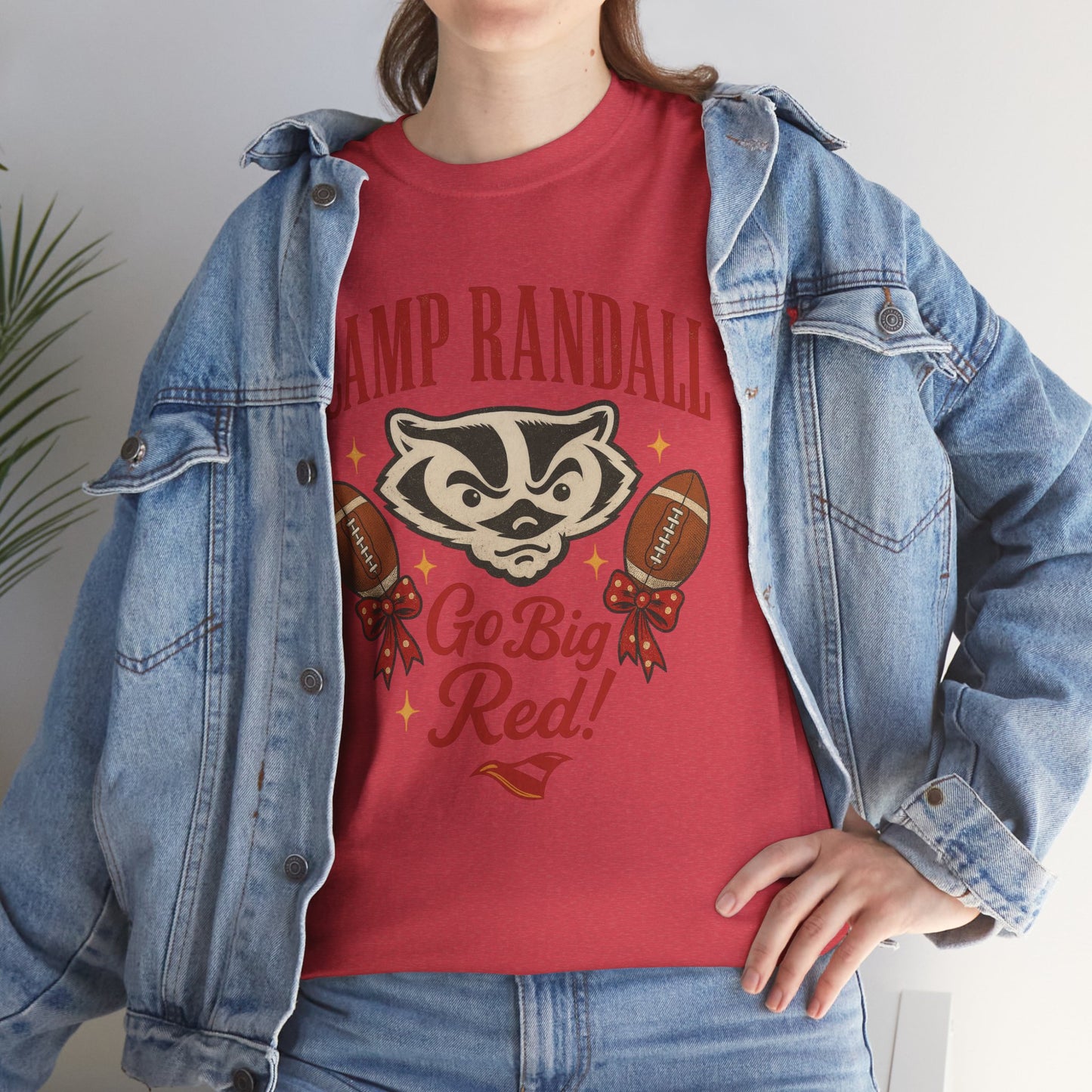 Camp Randall Unisex Tee, Wisconsin Badgers Game Day Shirt
