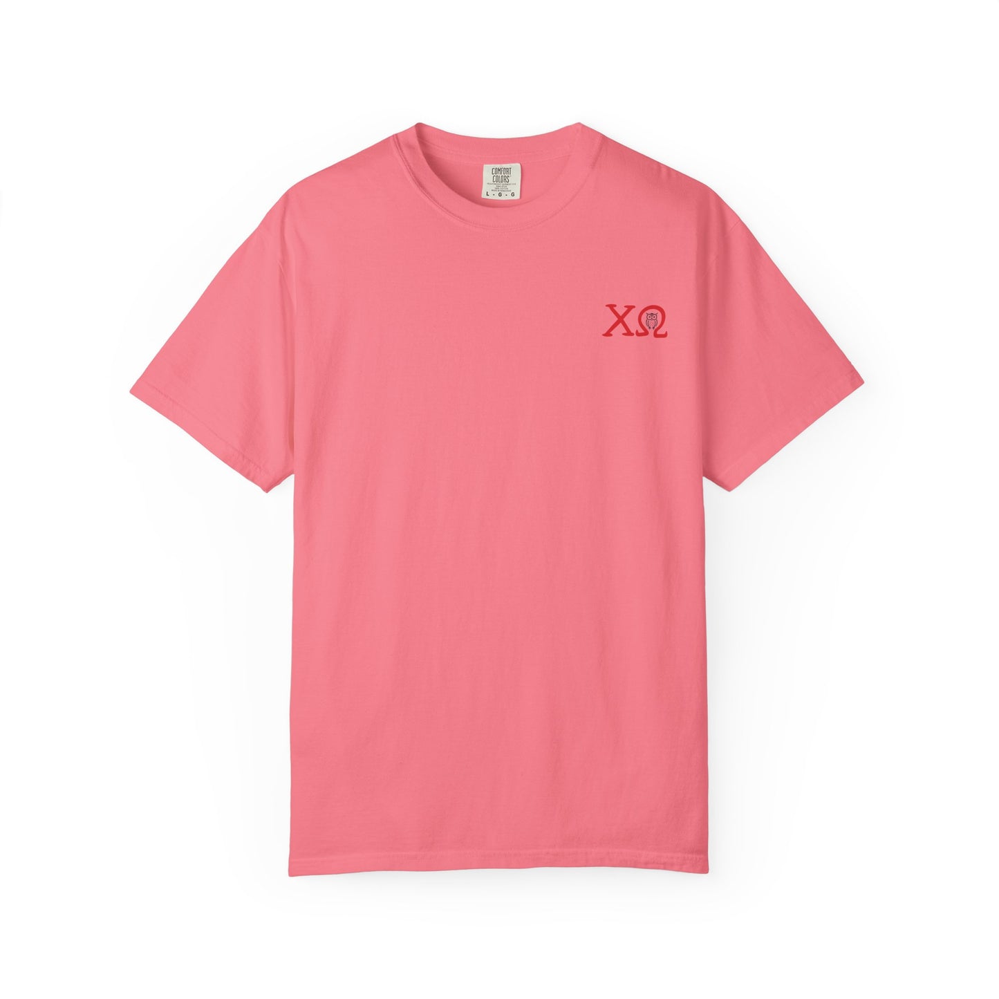 Chi Omega Sister T-Shirt, Sorority Apparel, College Tee, Garment-Dyed Shirt, Greek Life Merchandise, Casual Wear
