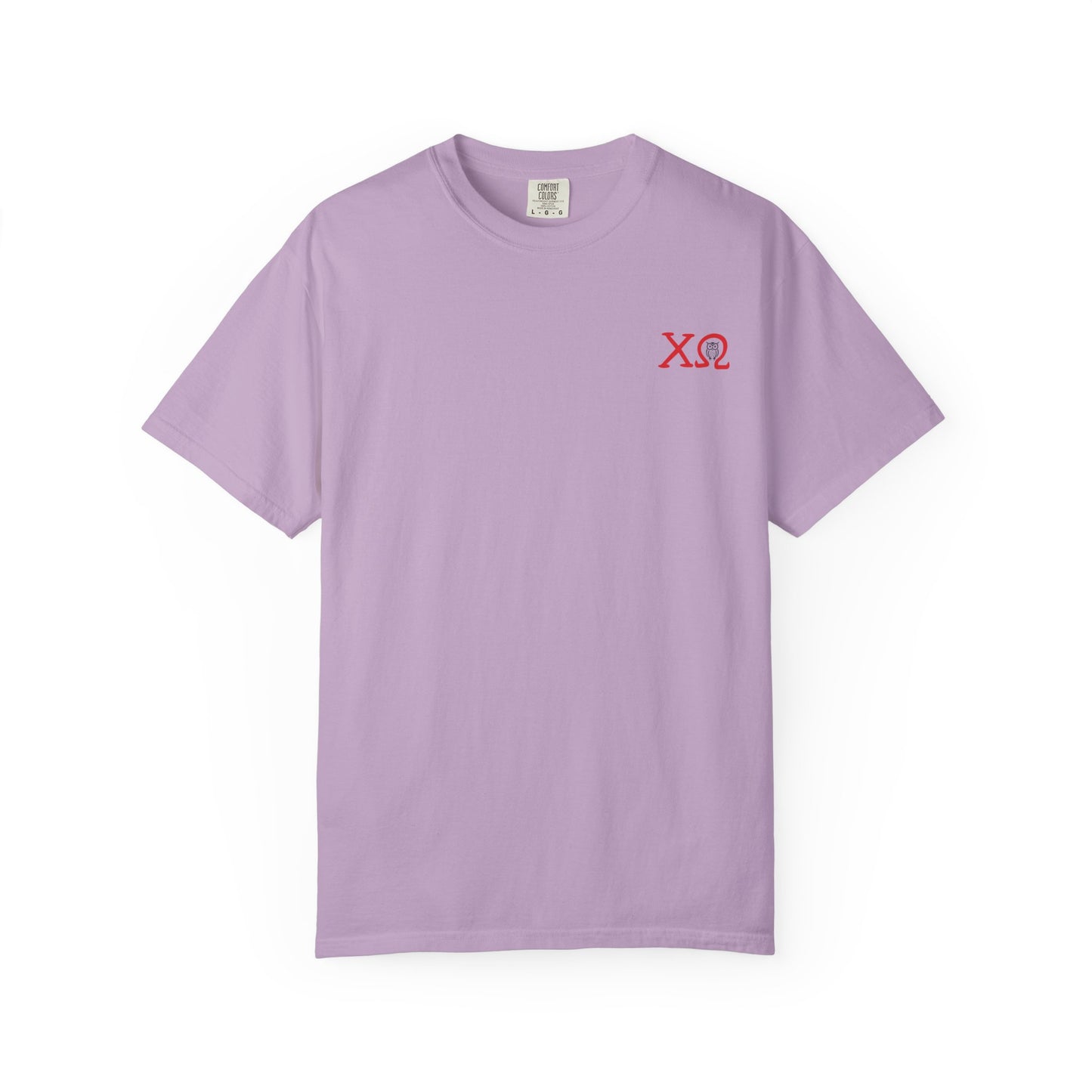 Chi Omega Sister T-Shirt, Sorority Apparel, College Tee, Garment-Dyed Shirt, Greek Life Merchandise, Casual Wear