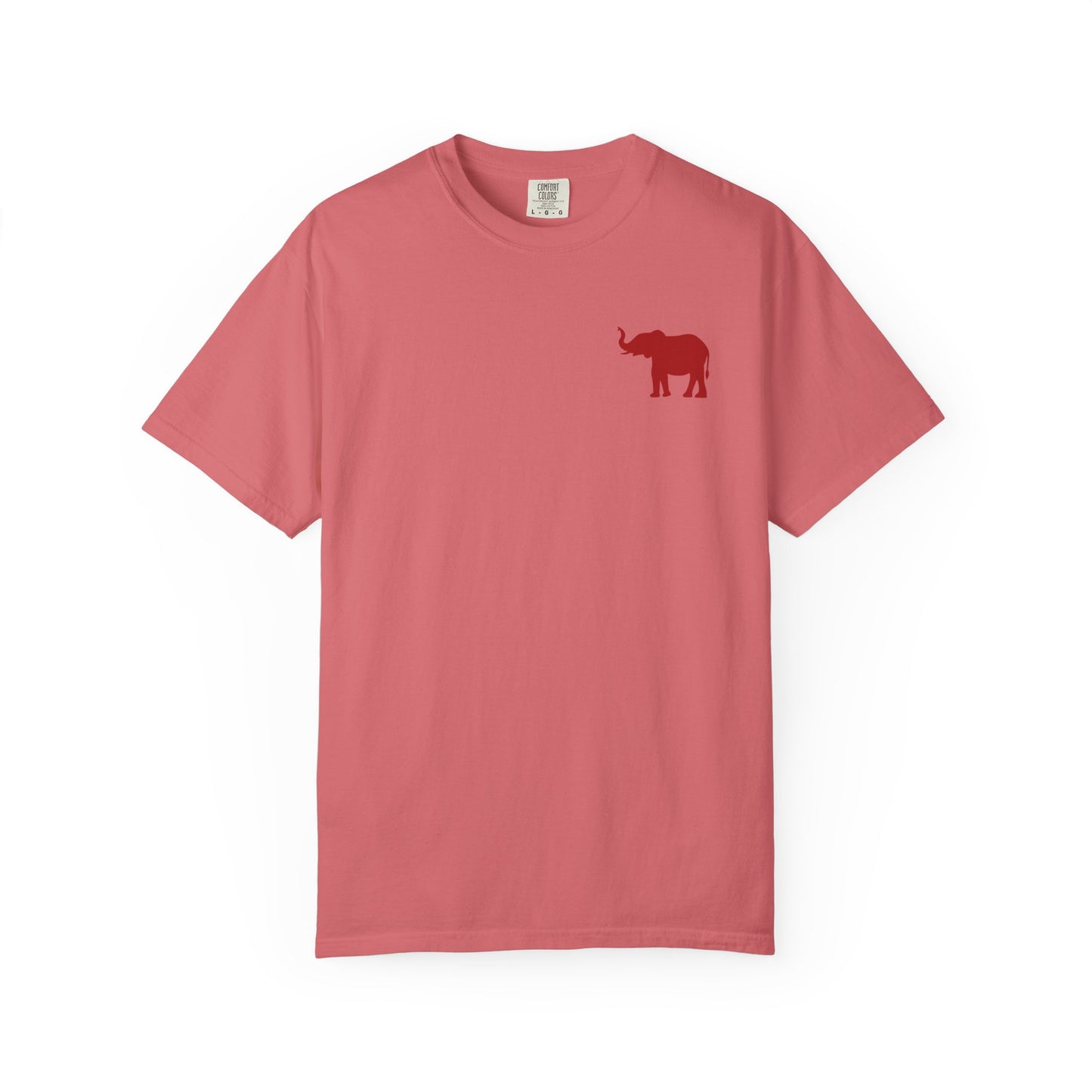 Comfort Colors Quad Alabama Tailgate Squad T-shirt