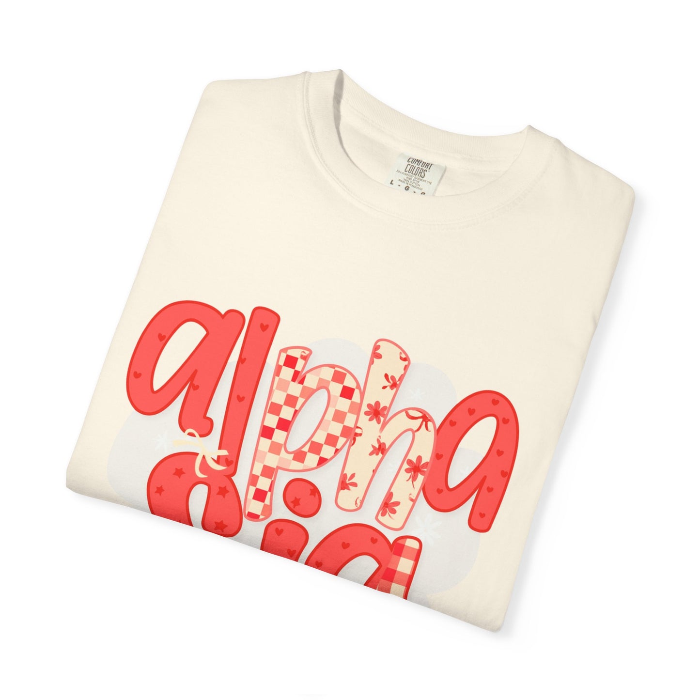 ASig Garment-Dyed T-Shirt