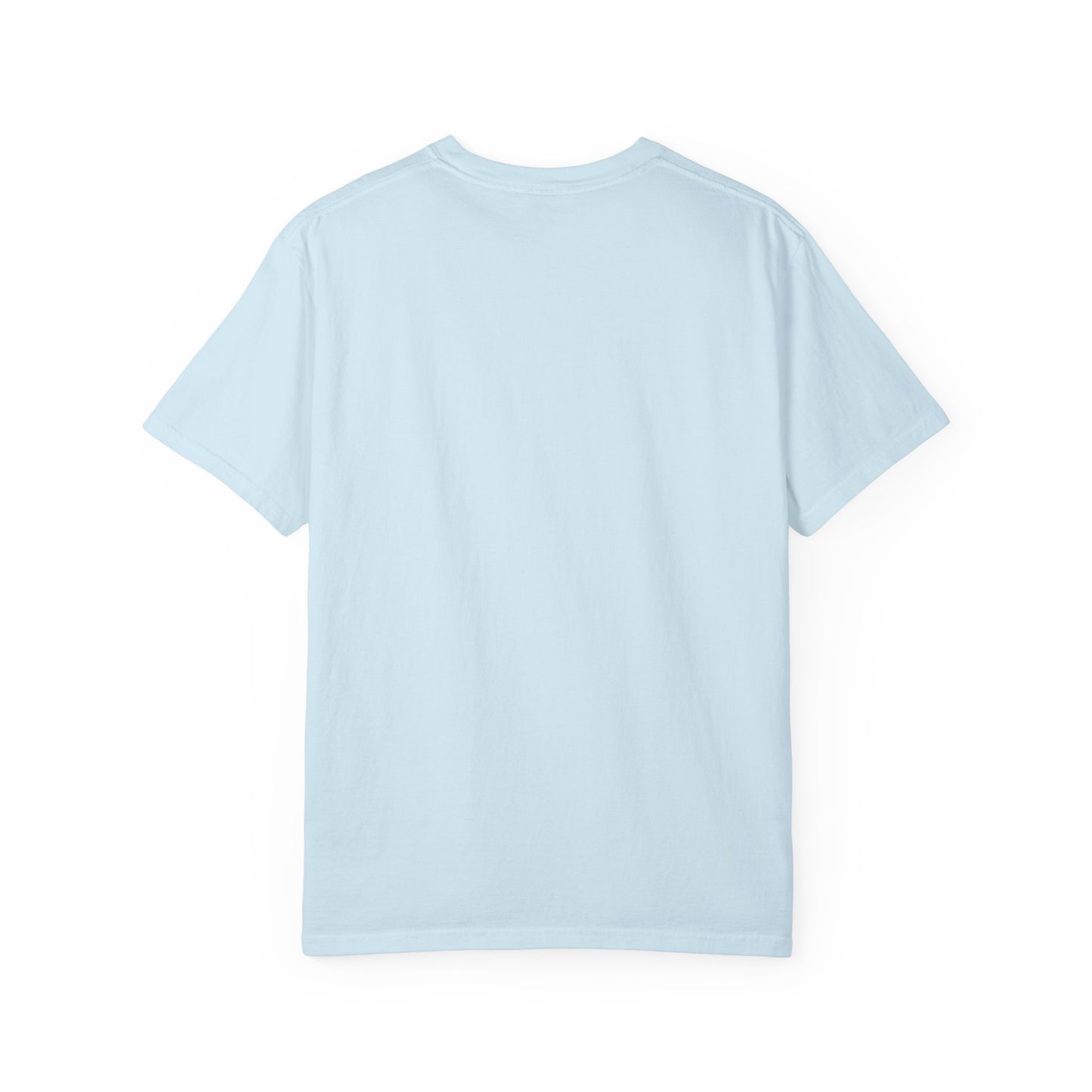 Fly Eagles Fly Unisex T-shirt