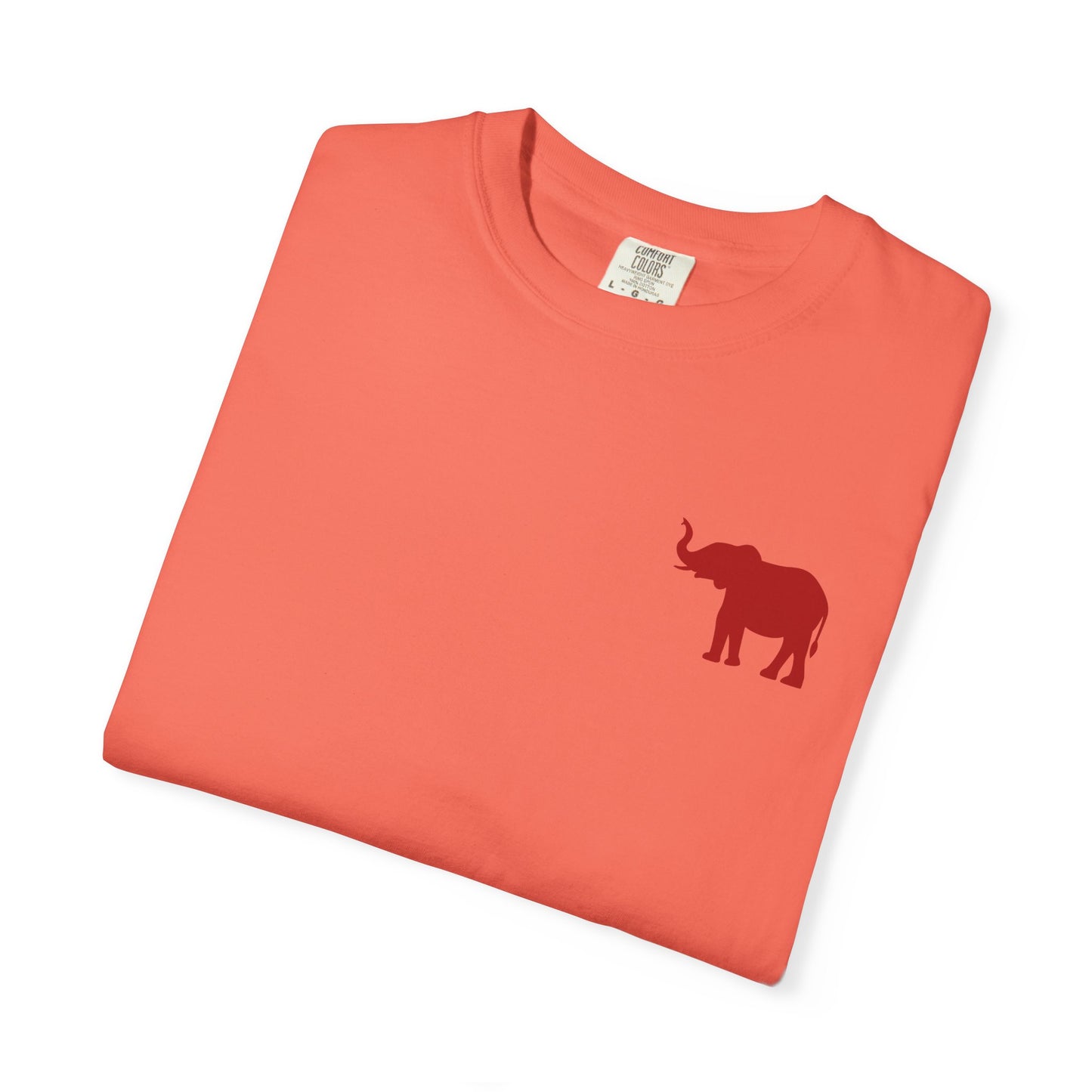 Comfort Colors Quad Alabama Tailgate Squad T-shirt